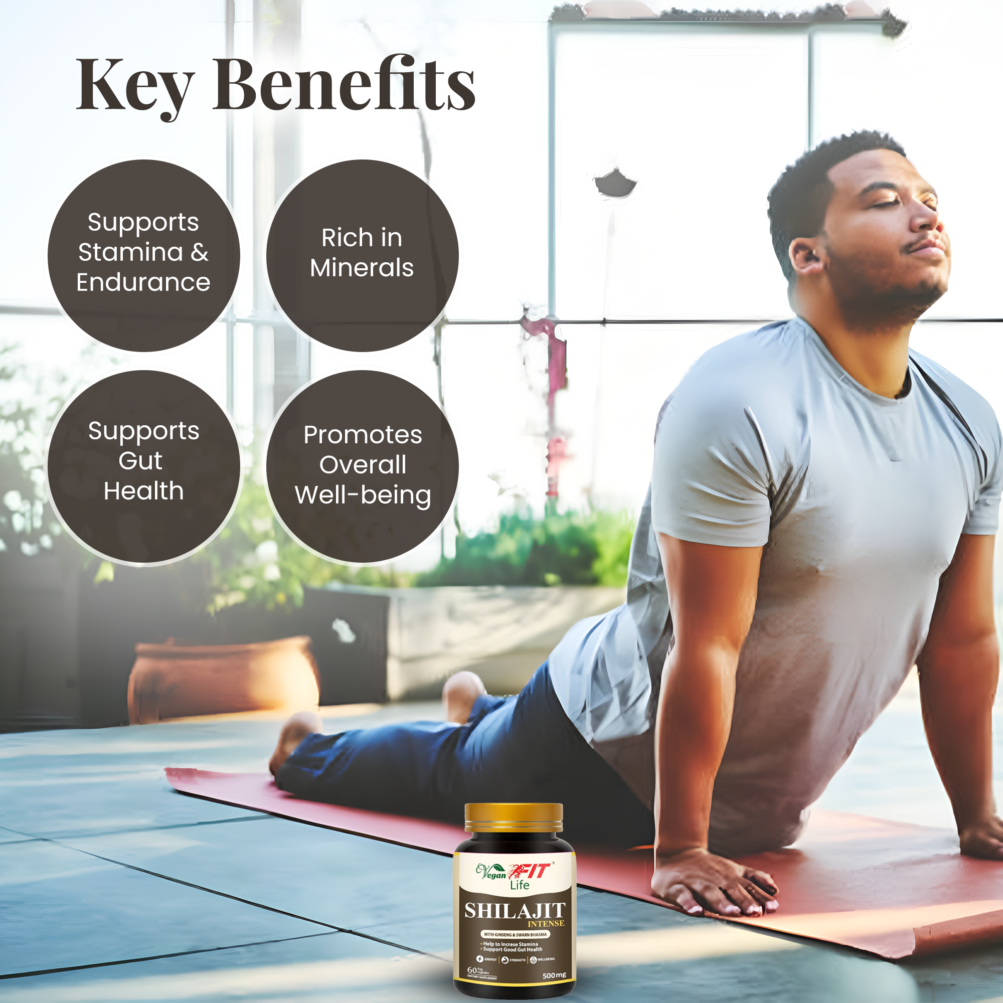 Shilajit Intense