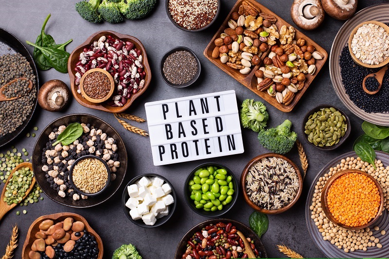 vegan plant based protein